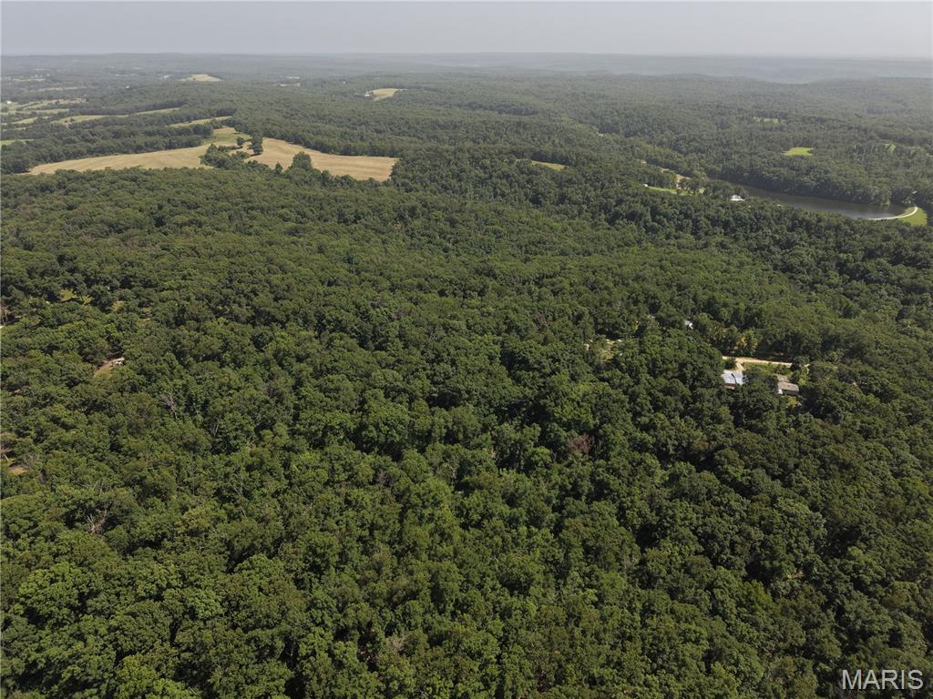 Gibson Park - Land