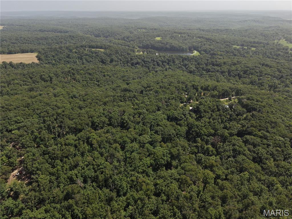 Gibson Park - Land