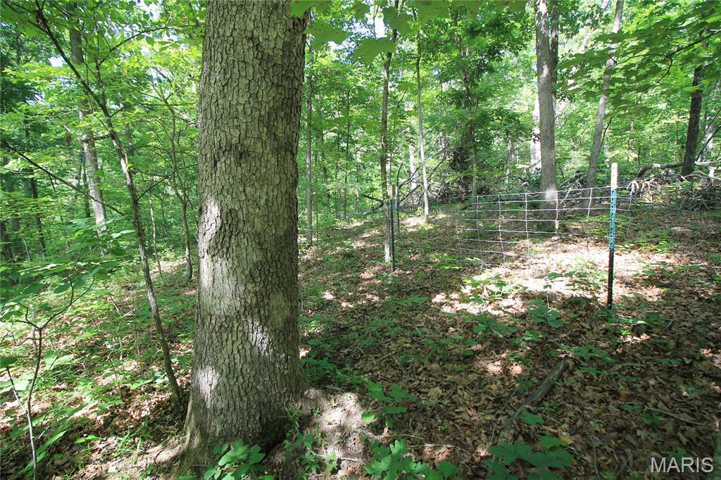 Gibson Park - Land