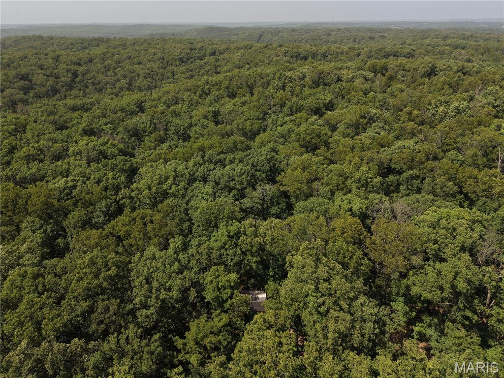 Gibson Park - Land