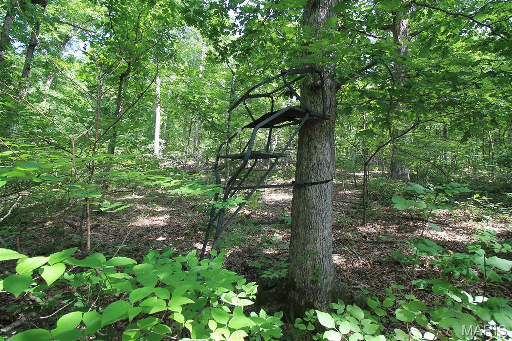 Gibson Park - Land