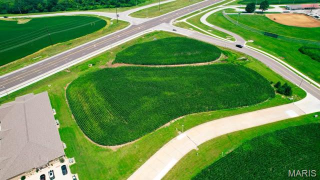 Exceptional commercial development opportunity featuring 12 available lots, including 6 highly visible lots with prime frontage along busy IL Route 3. Zoned B-3 Central Business, these versatile parcels offer endless possibilities for a wide variety of commercial ventures. Permitted uses include (but are not limited to) restaurants, financial institutions, bed and breakfasts, indoor amusement and recreation facilities, retail, professional offices, and many other business opportunities. All utilities are conveniently available along Station Crossing and Columbia Avenue, with tap-in fees based on the specific services requested. Lots 1 and 7 offer additional flexibility and may be subdivided with access from either Moore Street or Station Crossing. If subdivided, the purchase price will be adjusted based on the final square footage. Whether you're expanding your business, developing an investment property, or bringing a new commercial vision to life, these premier lots offer outstanding visibility, accessibility, and potential in a growing location.