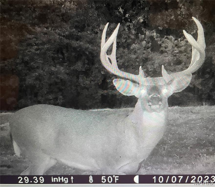 Don't miss this rare opportunity to own 156.6 acres of premium hunting land in Pike County, known for its deer and turkey hunting. This property has a proven history of big deer management and offers everything serious hunters and investors are looking for.

Approximately 40 tillable acres provide a steady annual income of $6,000, while also enhancing the property's ability to attract and hold wildlife. The farm is thoughtfully laid out with multiple secluded food plots, creating ideal setups for strategic hunting and consistent success season after season.

A machine shed with a temporary bunkhouse offers immediate usability for weekend stays or hunting trips, and the property features county road frontage for easy access. With electric already on site and a beautiful build location, this tract is perfectly suited for a future home or hunting lodge.

The mix of tillable ground, cover, and established habitat creates a true wildlife sanctuary making this a turnkey hunting property with both recreational and investment value.

Whether you're chasing trophy whitetails, managing land, or looking to build your dream retreat, this Pike County gem checks all the boxes.