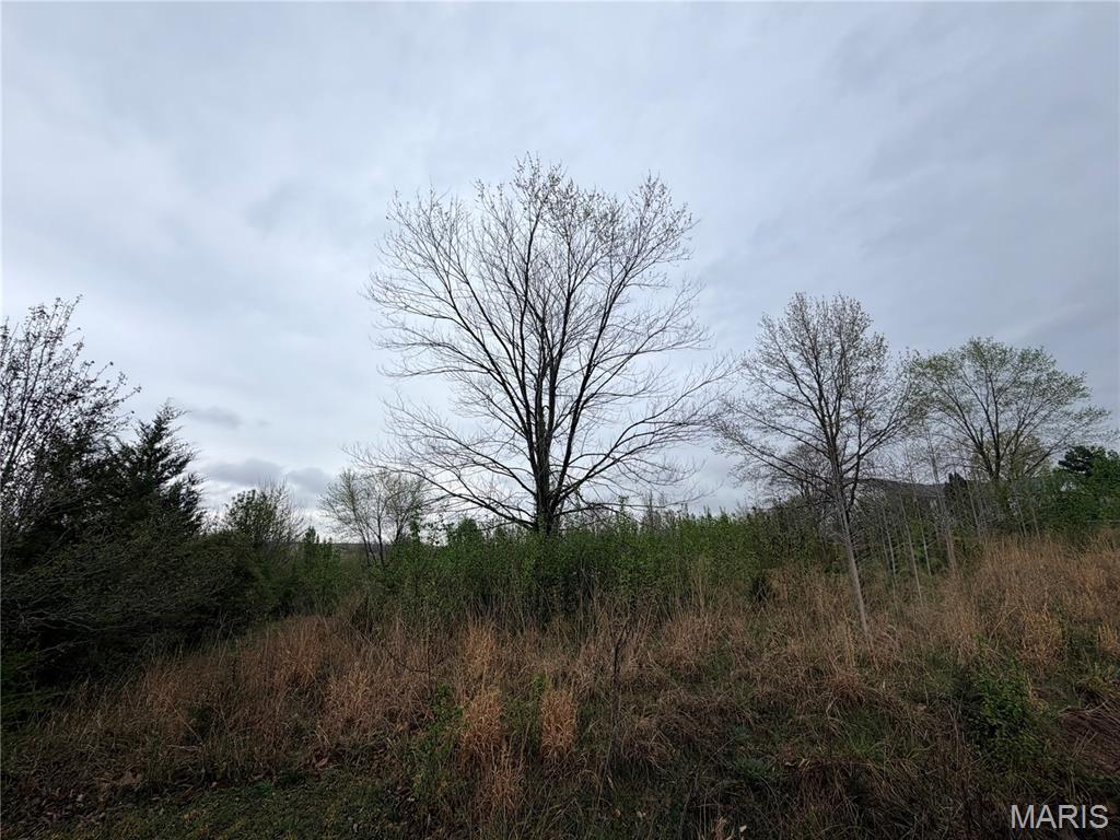 Hunter's Point - Land