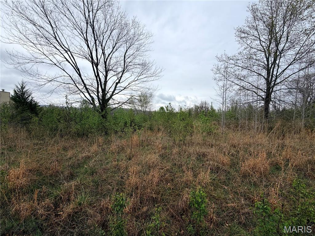 Positioned in the heart of one of Pulaski County’s most desirable residential corridors, this 1.02-acre parcel in the Hunters Point subdivision offers a rare combination of build-ready convenience, natural beauty, and long-term investment potential. Opportunities like this—where usable acreage, established surroundings, and strategic location intersect—are increasingly difficult to find in today’s market, particularly in the growing Waynesville and Fort Leonard Wood region. This property represents more than just land; it is a canvas for a future home, a strategic investment, and a foothold in a market supported by steady economic drivers and consistent housing demand.At just over one acre, this tract strikes an ideal balance between space and manageability. Unlike smaller subdivision lots that can feel restrictive, 1.02 acres provides room for thoughtful design—whether that includes a custom home, outdoor living areas, or additional structures such as a workshop or detached garage.
The property features a beautiful, natural build site, offering a strong starting point for construction. The presence of some existing fencing adds immediate functional value, whether for defining boundaries, enhancing privacy, or accommodating pets.
Equally important, utilities are nearby, significantly reducing the cost and complexity of development. Access to water, electric, and other essential services is one of the most critical factors in evaluating land—and here, much of that groundwork has already been addressed. Buyers can move more quickly from purchase to construction, avoiding the uncertainty that often accompanies undeveloped rural acreage.