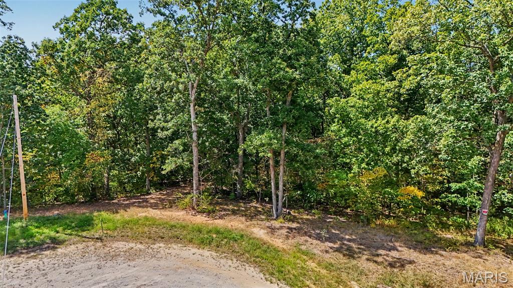 Bring your vision to life on this beautiful 6.36-acre property tucked away at the end of a quiet cul-de-sac in Winding Trails! This gorgeous rolling property offers privacy, natural beauty, and plenty of possibilities for building your dream home. Mostly wooded with a nice open field toward the back, the property provides the perfect balance of trees and usable ground. A small creek runs along the back of the property, adding to the peaceful, picturesque setting. Electric and a shared well are already available. Bring your horse or cow and enjoy the opportunity to create your own little homestead! Whether you're looking for a private retreat, room to roam, or the perfect place to build and enjoy the outdoors, this property offers it all in a beautiful area. Don't miss this opportunity to own 6.36 acres!