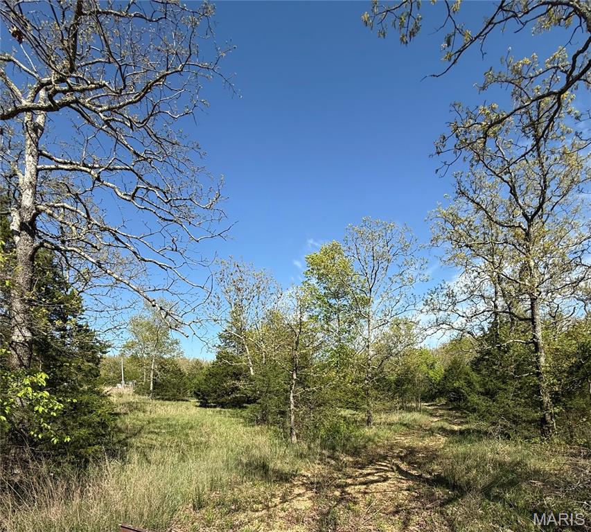 10 acres of pure potential with electricity available: build, hunt, camp or explore!  County gravel road frontage, level building site, plenty of woods for hunting. Wet weather creek, partial fencing and privacy. Lots of possibilities!