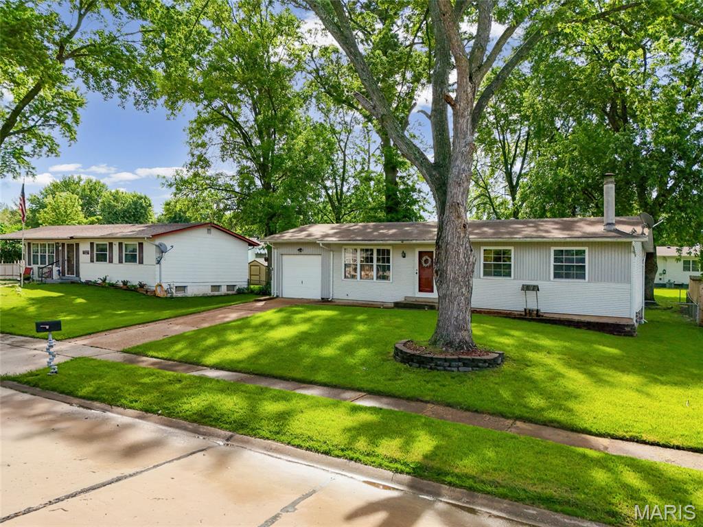 Flamingo Park 15 - Residential