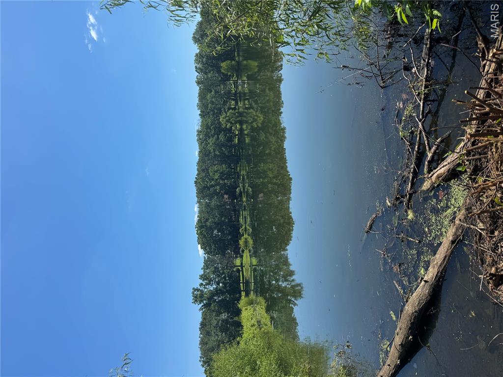 Lake St Clair - Land