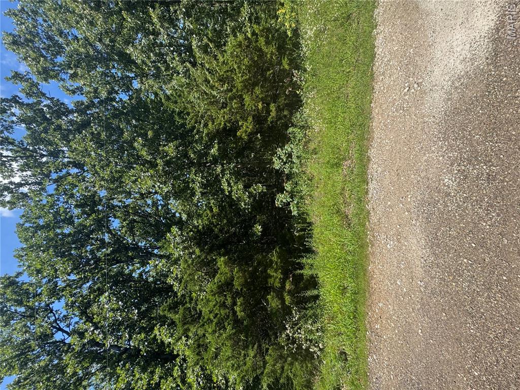 Build your perfect getaway or full-time retreat on this lake lot in sought after Lake St Clair. Nestled in a private subdivision just an hour from St Louis with easy access to I-44, this property offers an ideal setting to enjoy peaceful lake living with the convenience of nearby amenities. Lake St. Clair is known for its 4 lakes for boating, swimming, fishing and recreational activities. This will make a great place to relax, build or just enjoy the outdoors. Call for mor information.