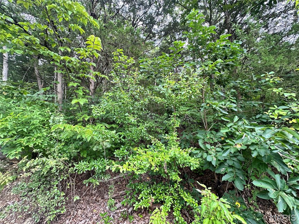 Great 2nd tier lot on Lakeshore dr in Peaceful Valley Lake! Whether you build now or later, start enjoying everything Peaceful Valley has to offer. Including, boating, swimming, playing or just relaxing! Utilities are available and this wooded lot would make a great build site! For more information on Peaceful Valley visit peacefulvalleylake.com