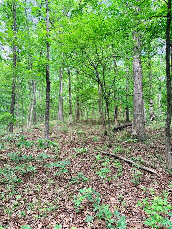 Beautiful 13.96-acre property featuring mature, marketable timber and endless potential. Ideal for a homesite, hunting retreat, or investment opportunity. Consisting of two separate parcels, the property offers flexibility for future development or resale. Located just minutes from town on County Road 450, with mostly paved access and only a short gravel stretch. If you’re looking for privacy, convenience, and opportunity, this property is a must-see!