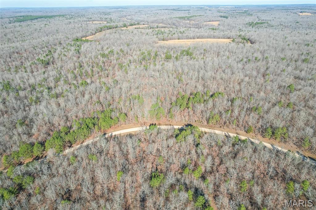 Country living and hunter’s paradise within a stone’s throw of the Little Black. This property is the perfect location for the active outdoorsman or nature enthusiast.  Build your dream home or simply enjoy nature! Gravel drive with cleared building site.
