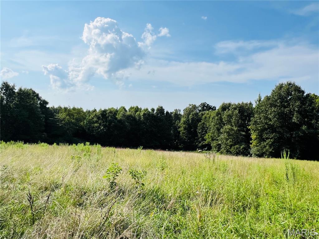 Hunting/Recreational/Investment opportunity! If you have been looking for a place to put your next deer camp, this is it! The majority of this 35.32 +/- acre property is wooded and located near Castor River providing ample hunting opportunities! This property is approximately 3 miles from Arab, 6 miles from Advance, and a short drive to Cape Girardeau!

**More photos to come**