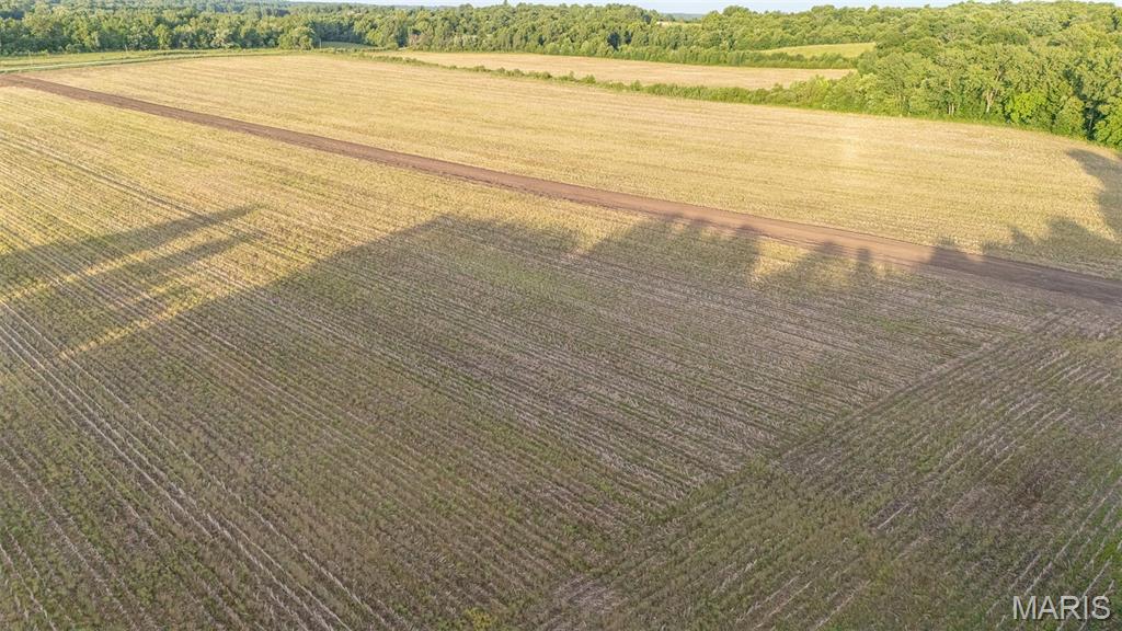 N/A - Farm