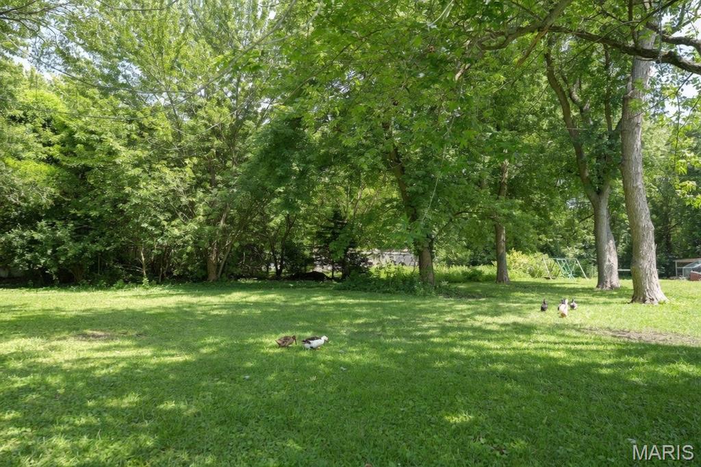 Mt Olive & Staunton Coal Compa - Residential