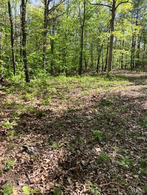 This 6.403 acres has deeded gravel road access, sits in a quiet valley and has a small spring-fed stream running along one boundary, and sits only a about 1/4 of a mile from Mark Twain National Forest.
It's a hunting or a recreational paradise. Or use is simply as a great home or cabin site.
You'll have a deeded access road to the property. There's a nice small clearing along the road. This property comes with NO restrictions.
Hunt, camp, build, ride ATVs on your own land, or you're just a short hike or drive from the picturesque and pristine 22,176-acre section of Mark Twain National Forest ... public ground where you can also hunt, ride and explore. All this, and only about two miles a paved state road. 
This property has a deeded access road on the northern end of the property, but the property boundary on the north is a small spring-fed stream.
Use this wooded, secluded property as a base camp for adventure or build your forever home and live out your days in secluded bliss. This and surrounding land is teeming with deer, turkey and small game, and the occasional feral hog or maybe a black bear. There is additional acres available which adjoin this piece if interested.
