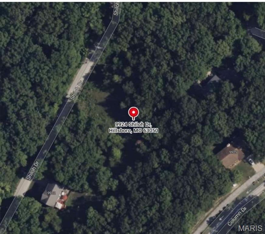 Build your Dream Home on this beautiful nearly one-acre lot in the sought after Raintree Plantation community! Located at 9924 Shiloh Drive, this spacious lot offers a fantastic homesite with some existing clearing, underground utilities, and access to public water and sewer.  Enjoy the privacy and space that larger lots provide while taking advantage of all the incredible amenities Raintree has to offer, including the private lake, beaches, boating, fishing, golf course, Country clubhouse, and more. Whether you're ready to build now or invest for the future, this is a rare opportunity to own one of the larger lots in the community! Bring your builder and start planning your future today!

https://www.raintreepoa.net/