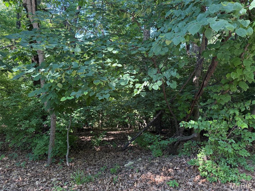 Castlewood Camp - Land
