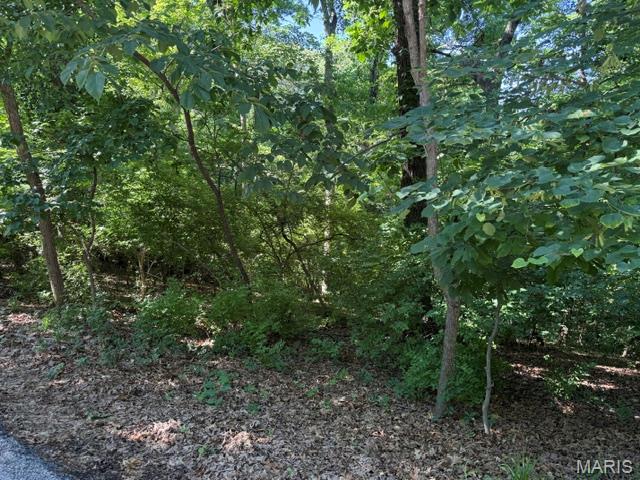 Castlewood Camp - Land