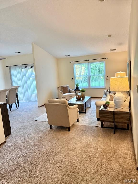 Spring Creek Condo Ph 5 - Residential