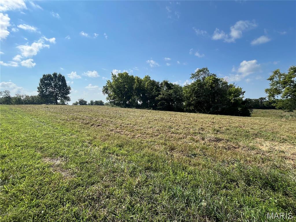 Welcome to Autumn Ridge!! 5.23 acres m/l to 12.27 acres m/l lots. Autumn Ridge offers 360 degree views, mature trees, pasture & beautiful sunsets. Quick commute to Hwy 79 or Hwy 61. Cuivre River electric runs underground to the lots. Minimal deed restrictions. Wildlife abundant. Shouse and Barndominiums allowed, just subject to developer approval. Bring your builder and your plan.