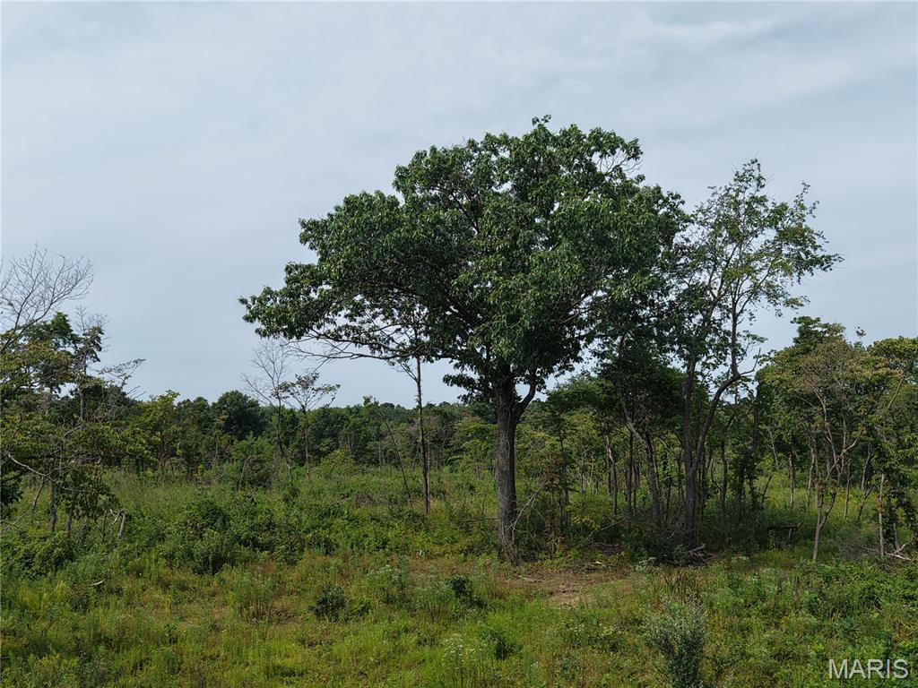 Oak Tree Farms - Farm