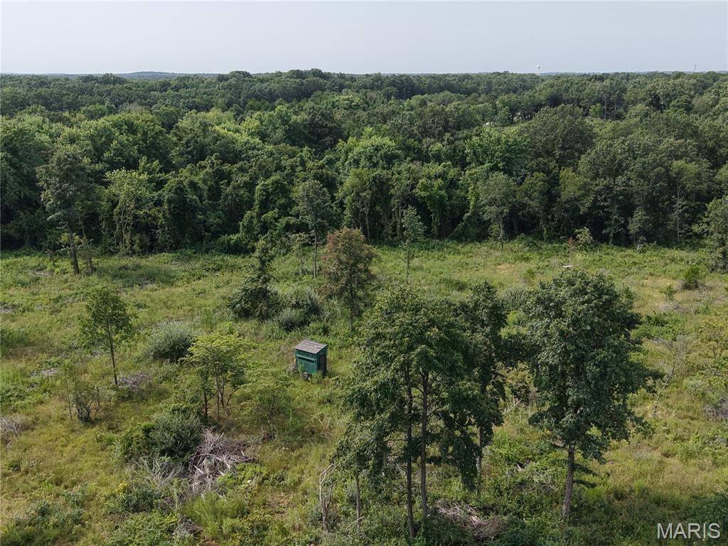 Oak Tree Farms - Farm
