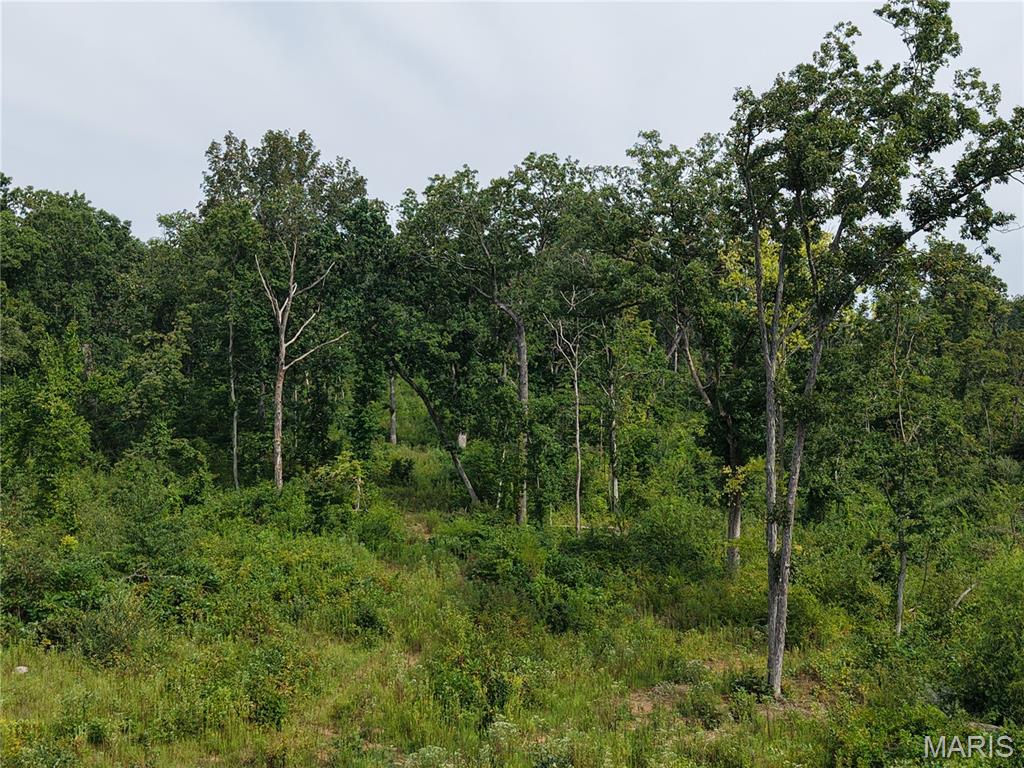 Oak Tree Farms - Farm
