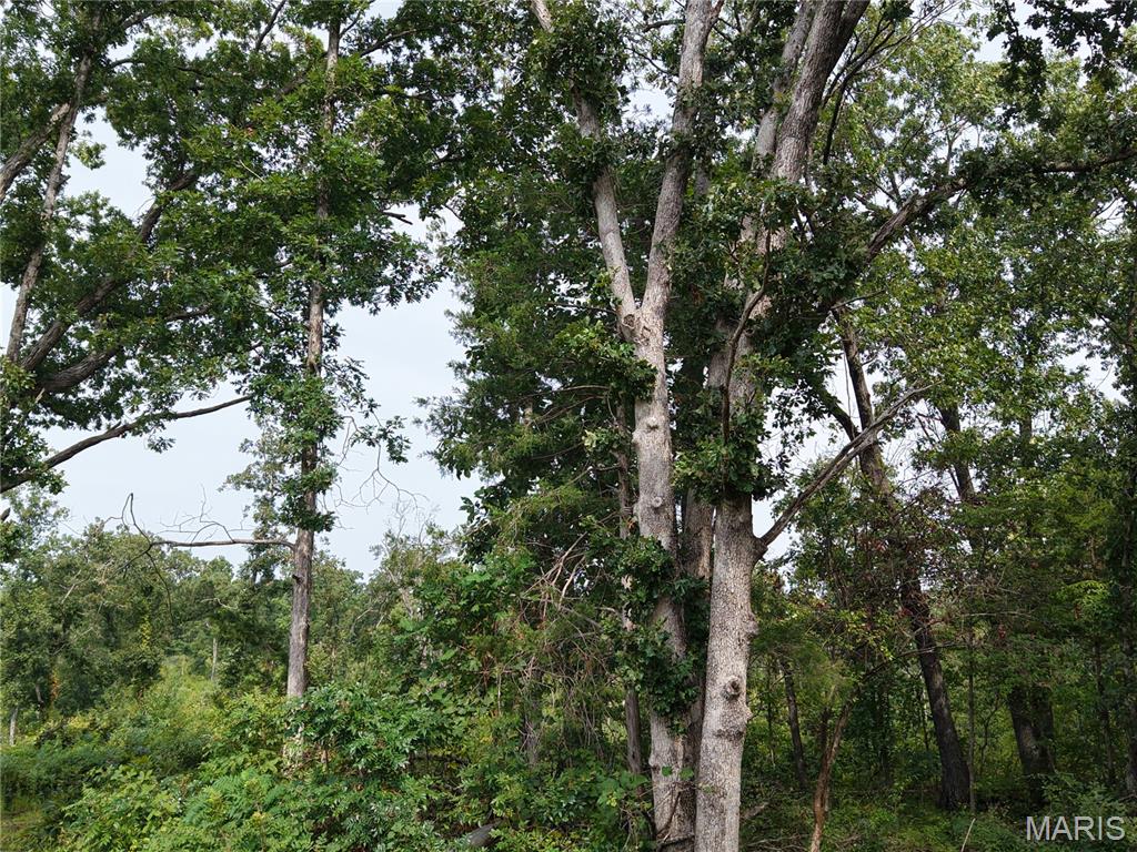 Oak Tree Farms - Farm