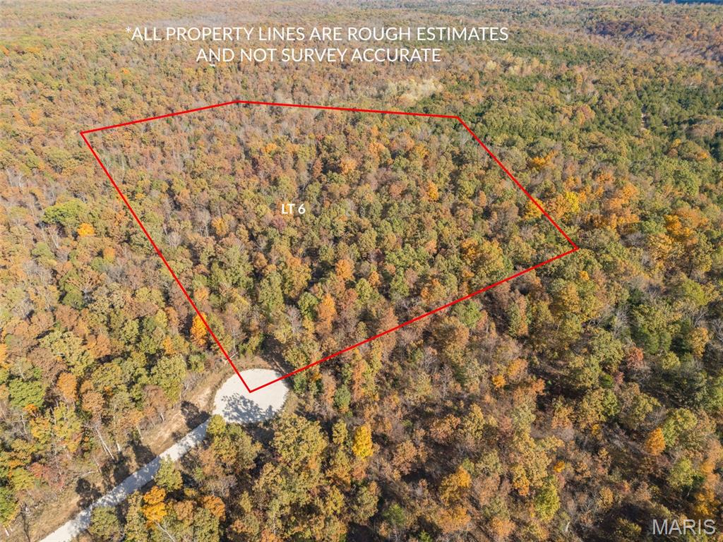New roads! New Survey! lot 6 of 13 lots to come.  Each lot is 25+ acres with roads and new survey. If your looking for a place to build or develop this is the place! Gently rolling hills in what used to be farmland. Come check it out, bring your plans !