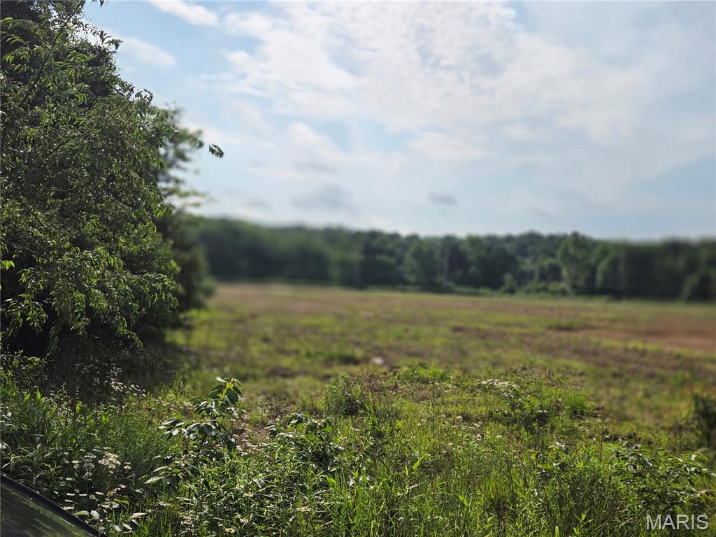 Wonderful spot for a private retreat, dream home, or development. Seller has a proposed plat for small subdivision. City utilities available.  Tree lined 12+ acres.