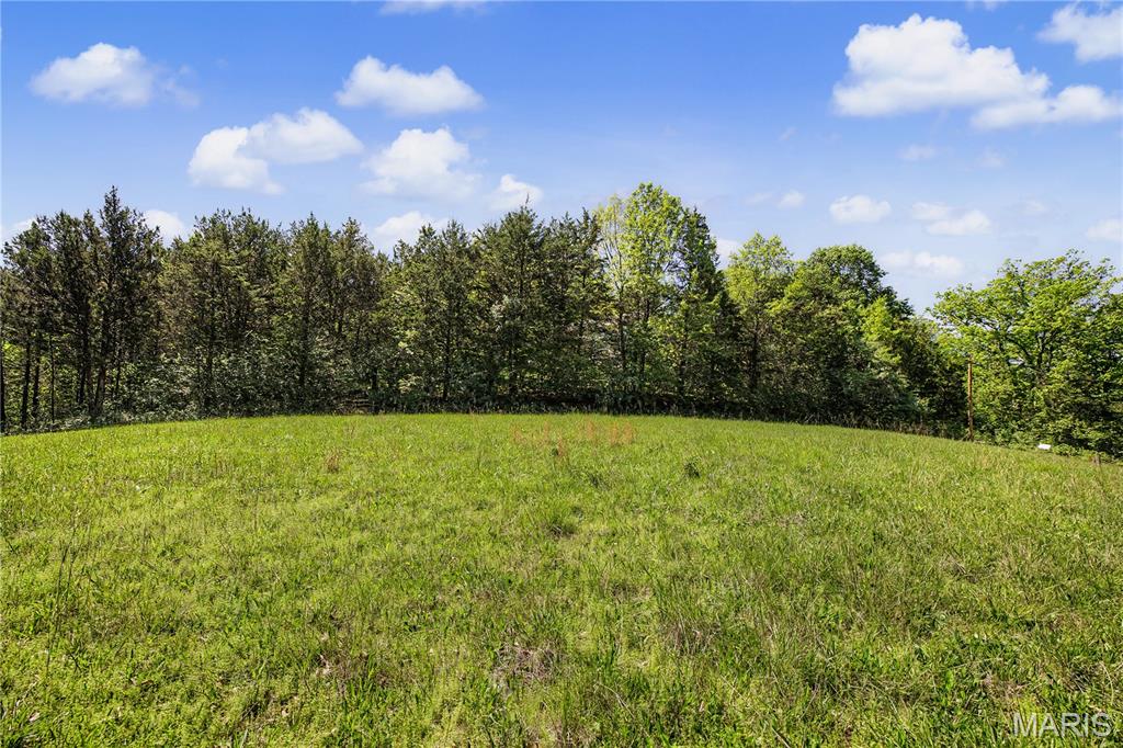House Spgs Forest 02 - Land