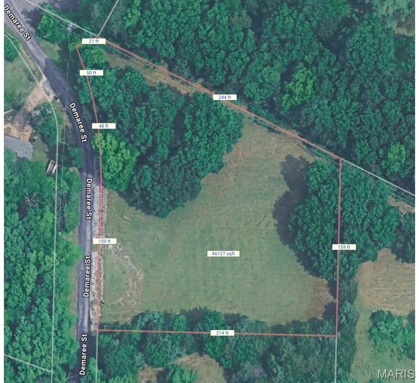 House Spgs Forest 02 - Land