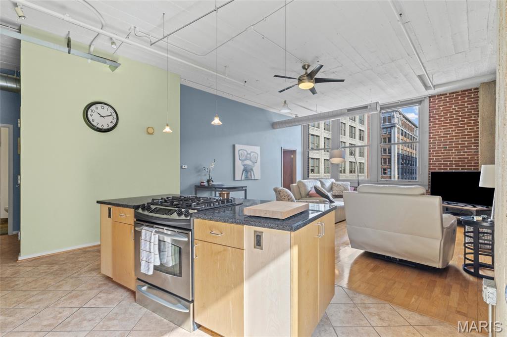 First Amendment/Printers Lofts - Residential