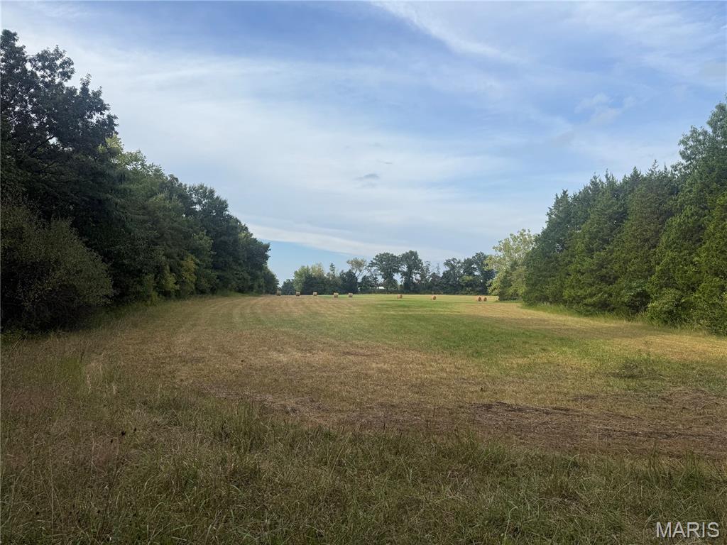 Great opportunity in one of the fastest growing areas in the country. Currently in unincorporated Warren County but is surrounded by City limits of Warrenton. Subdivisions on multiple sides. City water and sewer run along Warrior Avenue and Pinckney Street. Most of the wooded areas have been cleared making viewing the property easy plus gives a lot of opportunities for walkout lots, tree lined lots, and more. Turn this into your next development or your private family compound. Agent owned.