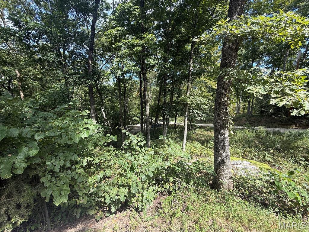 Pinnacle Lake Estates - Land