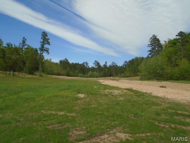 Great hunting on 240 acres of Missouri Ozarks. Nice mix of timber, fields and clear cut make this a great place for hunting, 4-wheeling, horses, cabin or home site. Private road access to this secluded property. Electric nearby. More property available if needed.  Near Annapolis. $480,000