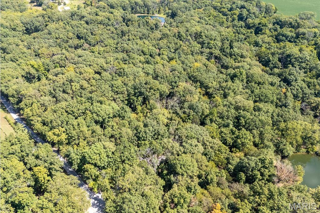 Oak Ridge Estates - Land