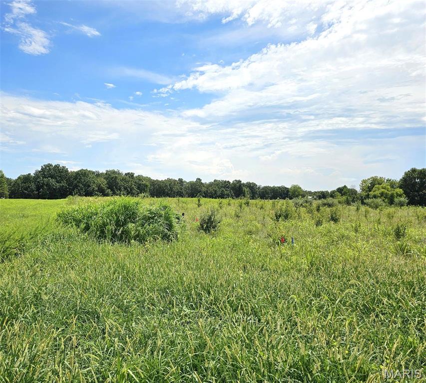 2.6 Acre Building Lot – Hawkins Ridge – Unincorporated Troy, MO
Discover the perfect place to build your dream home on this 2.6+/-acre lot located in the peaceful Hawkins Ridge Subdivision just outside of Troy, MO. Platted subdivision with minimal restrictions—ideal for custom build home or barn dominium. in an unincorporated area while still benefiting from electric and water already on site!