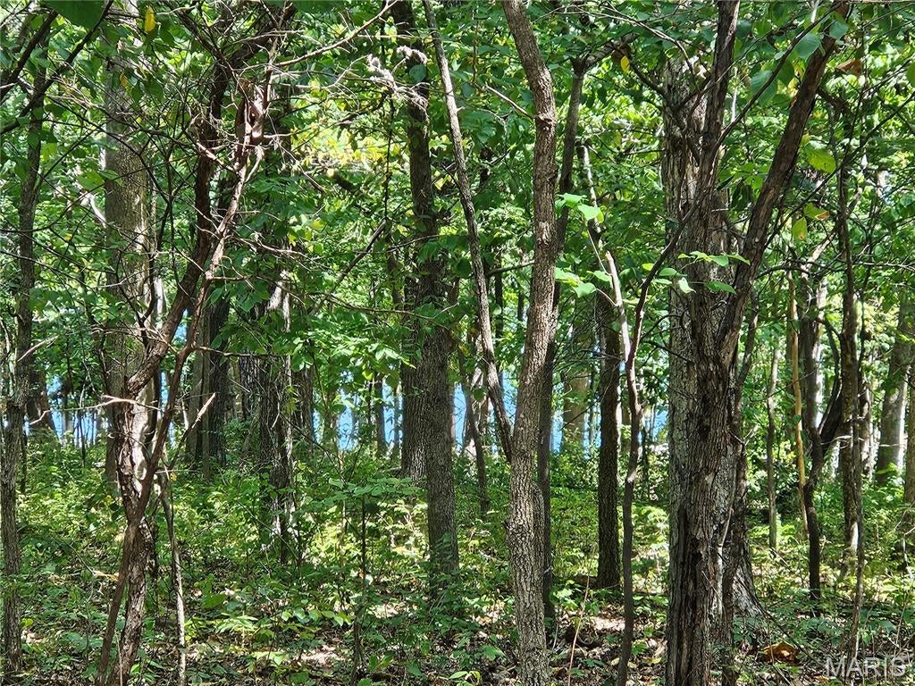 Raintree Plantation Sec 10 - Land
