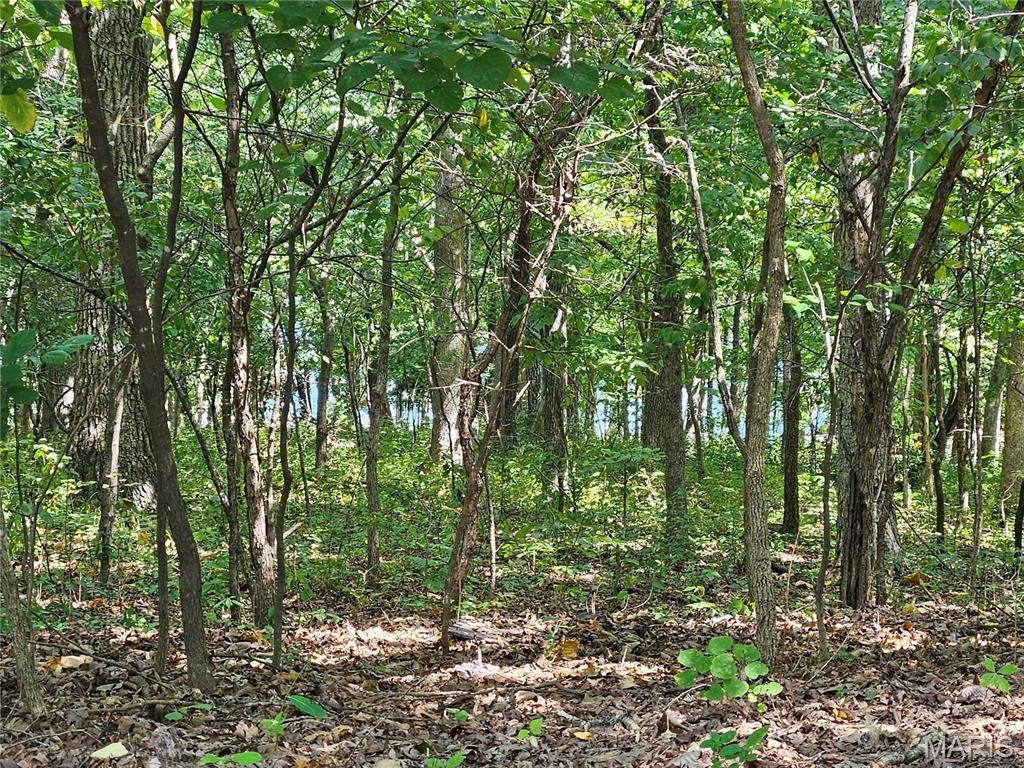 Raintree Plantation Sec 10 - Land