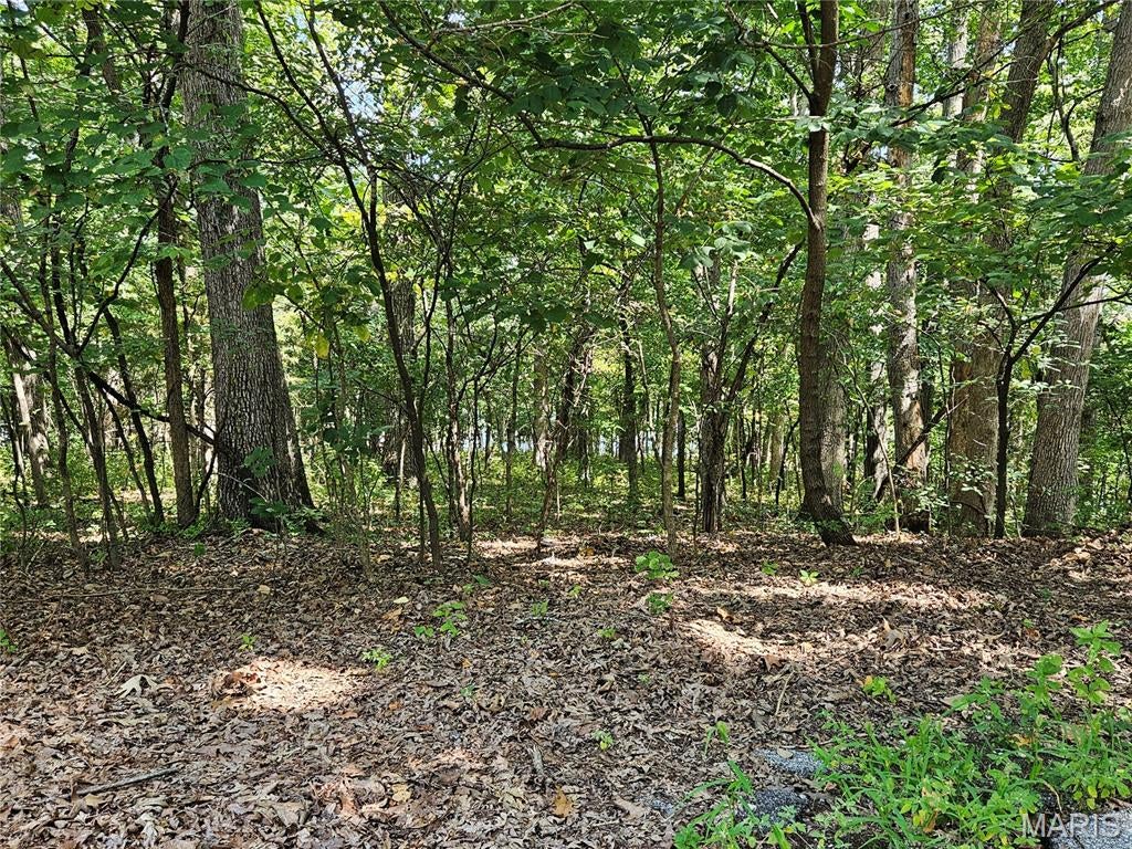 Raintree Plantation Sec 10 - Land