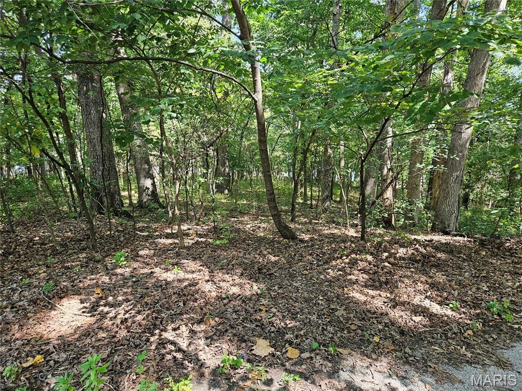 Raintree Plantation Sec 10 - Land