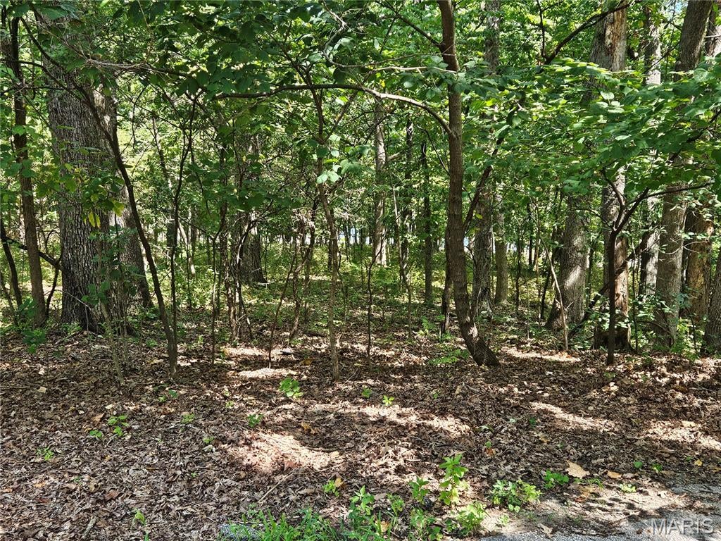 Raintree Plantation Sec 10 - Land