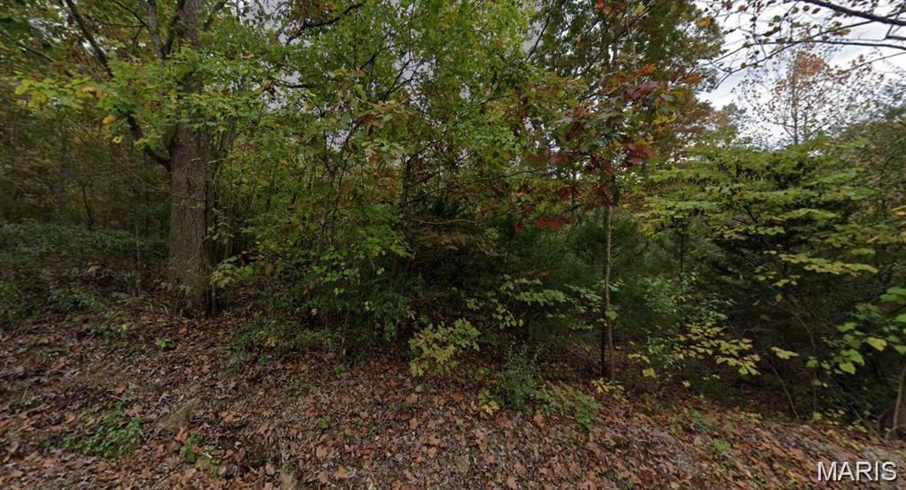 Goose Creek Sub - Land