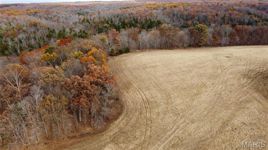 Polston Farms - Farm