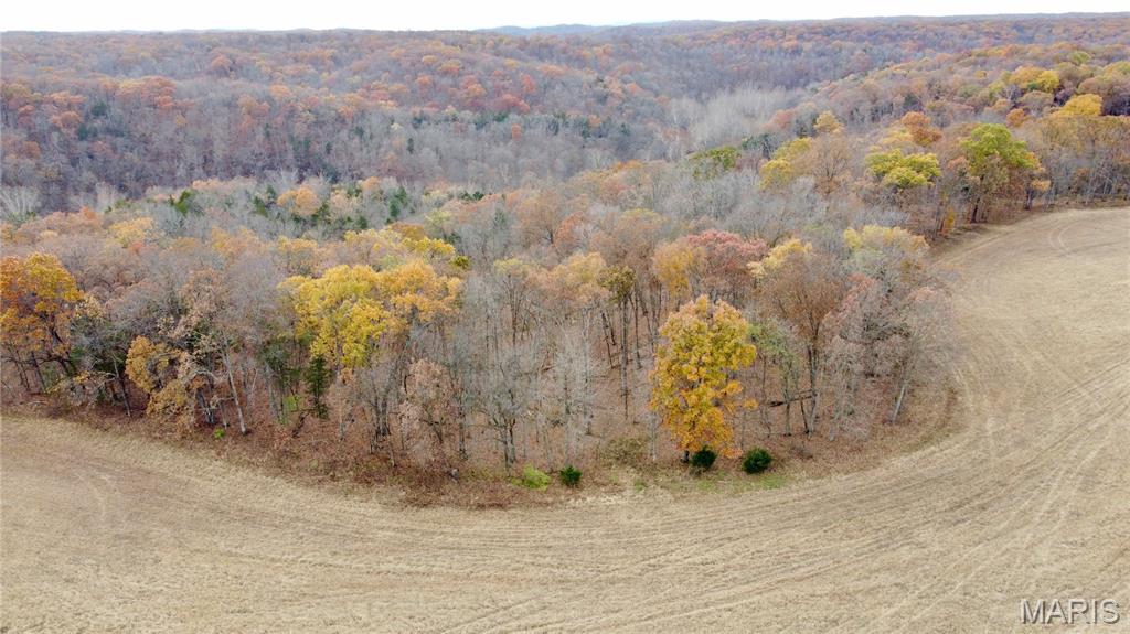 Polston Farms - Farm