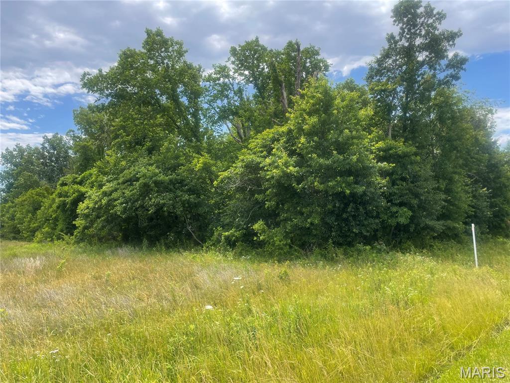 Not in a Subdivision - Land