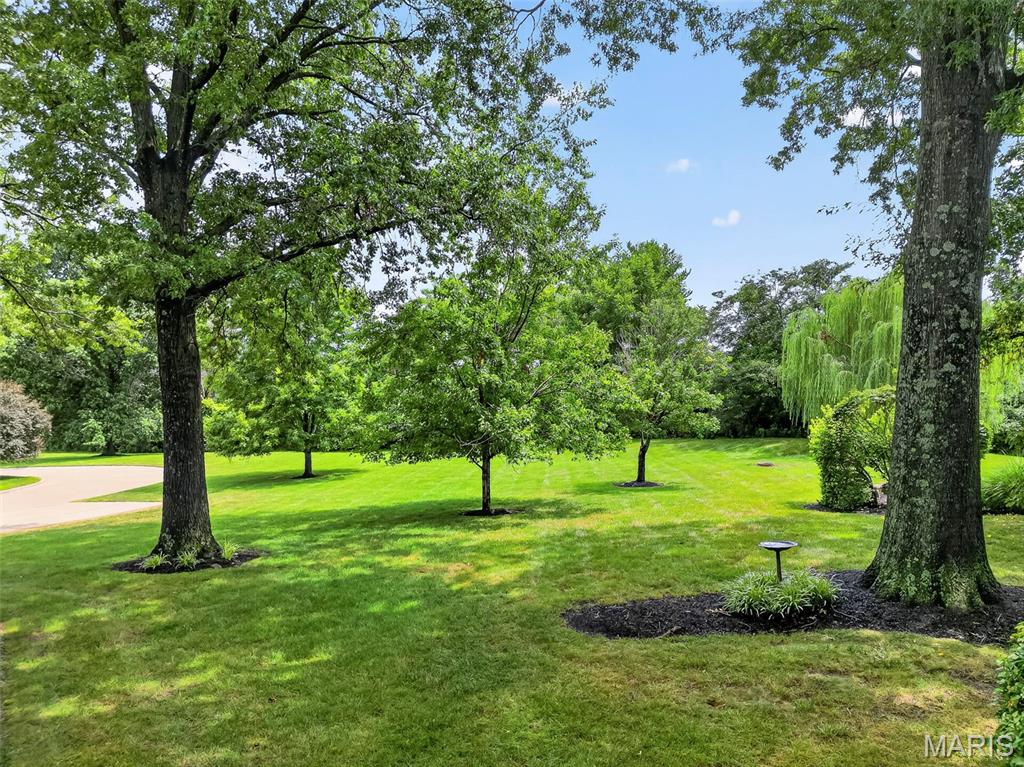 Brandywine Condo 3 - Residential